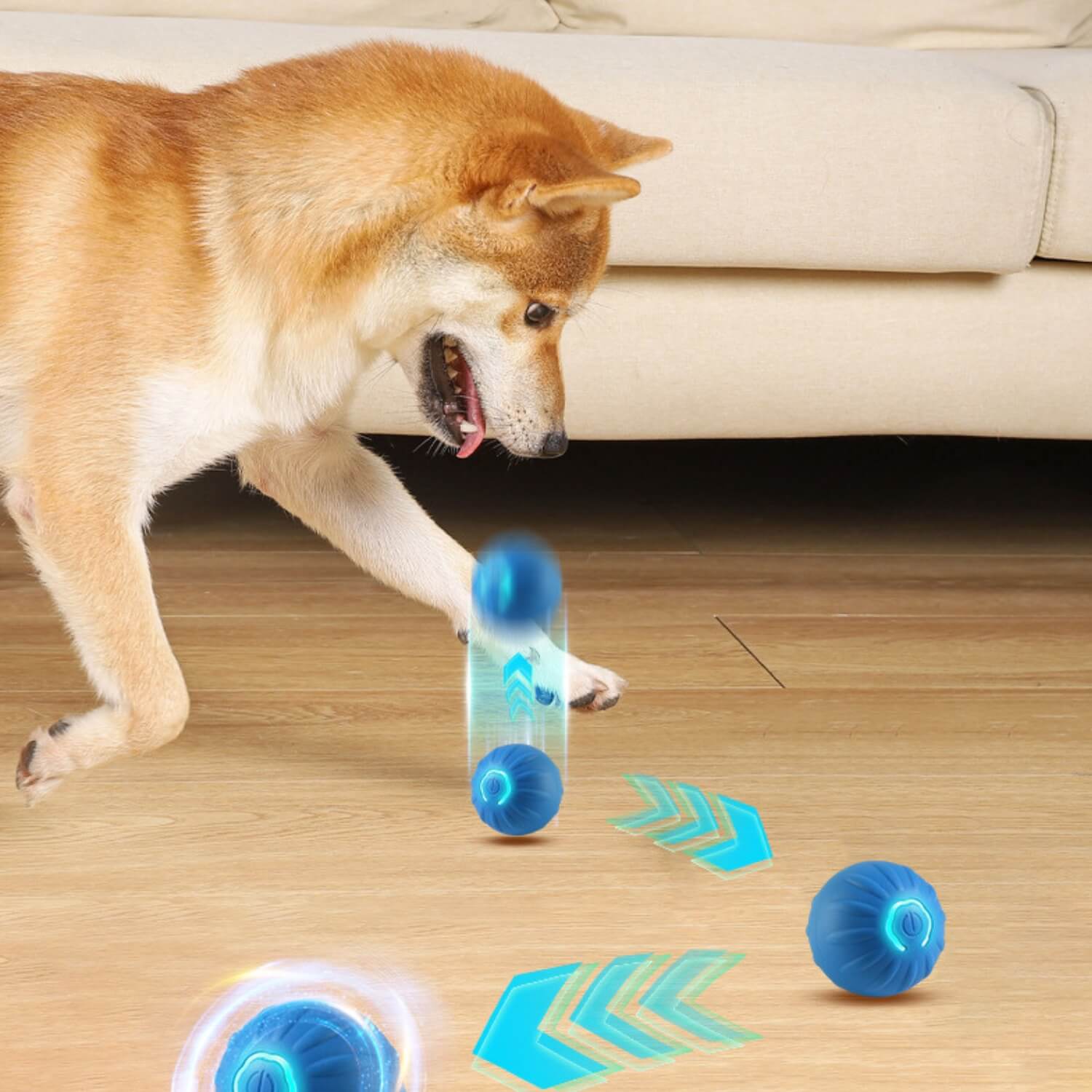 zwaartekracht springende hond bal hond spelen